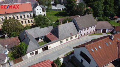 REMAX Delux