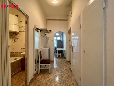 REMAX Delux