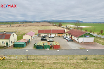 REMAX Delux