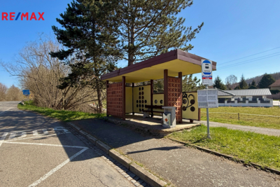 2741566.jpg