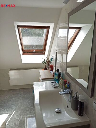 REMAX Delux