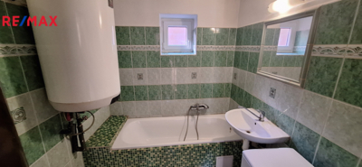REMAX Delux