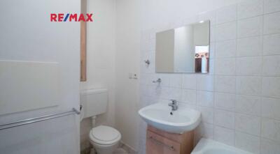 REMAX Delux