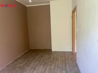 REMAX Delux