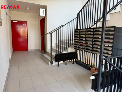 Prodej nemovitostí Brno