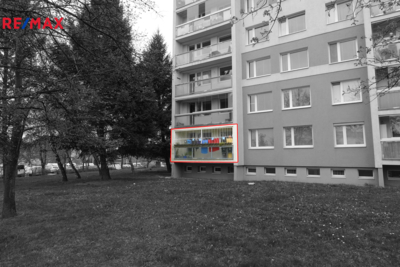2751944.jpg