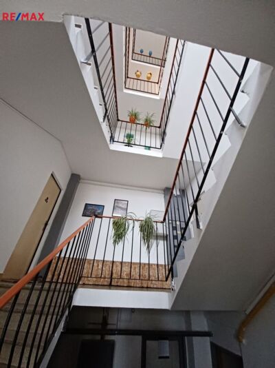 REMAX Delux