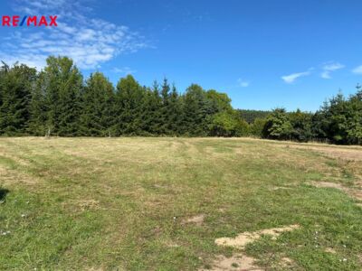 REMAX Brno