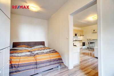 REMAX Delux