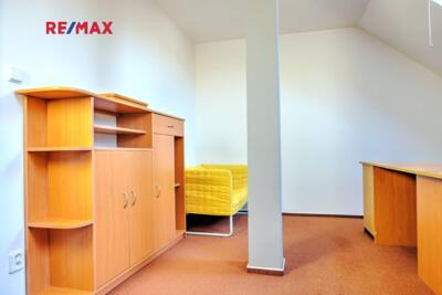 REMAX Delux