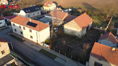 REMAX Delux