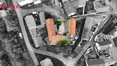 REMAX Delux
