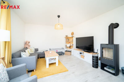 REMAX Delux