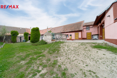 REMAX Delux