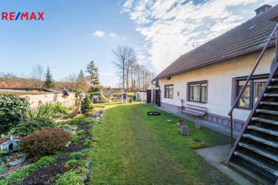 REMAX Delux