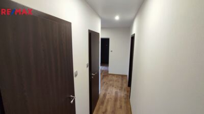 REMAX Delux