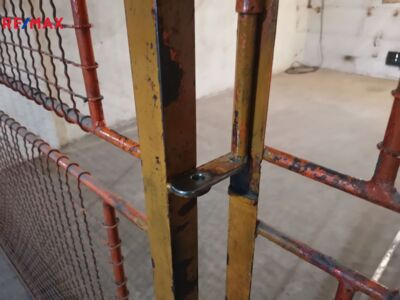 2518767.jpg