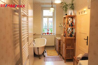 REMAX Delux