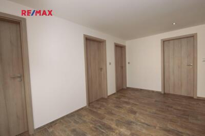 REMAX Delux