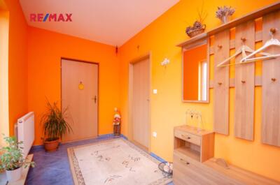 REMAX Delux