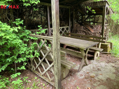 2011960.jpg
