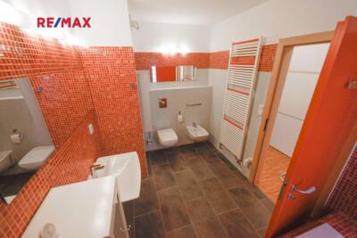 REMAX Delux