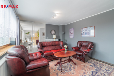 REMAX Delux
