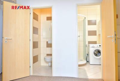 REMAX Delux