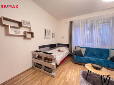 REMAX Delux