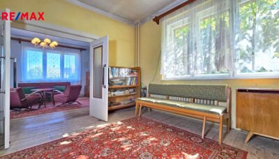 REMAX Delux