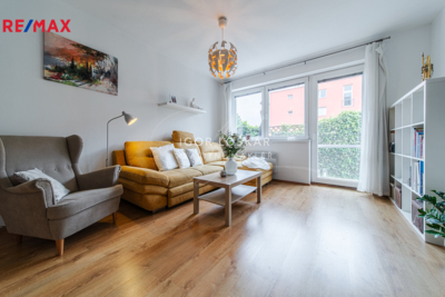 REMAX Delux
