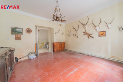 REMAX Delux