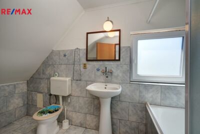 REMAX Delux
