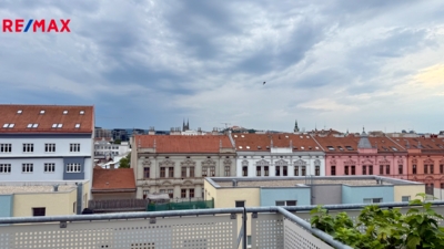 2903849.jpg