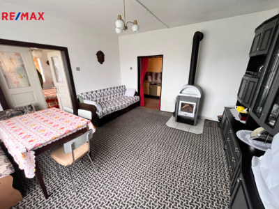 REMAX Delux