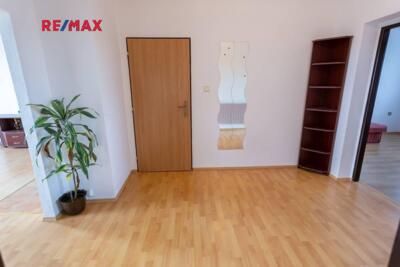 REMAX Delux