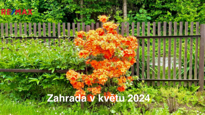 2764454.jpg