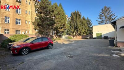 REMAX Delux