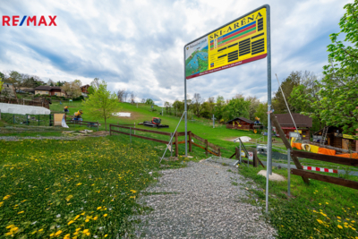 2764557.jpg