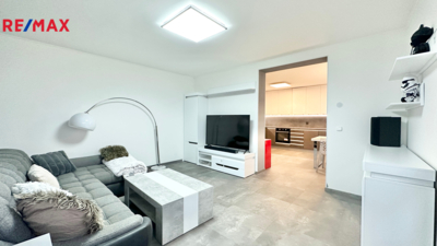 REMAX Delux