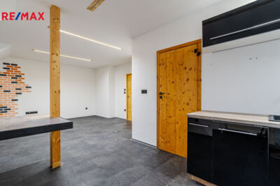 REMAX Delux
