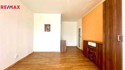 REMAX Delux