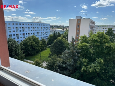 REMAX Delux