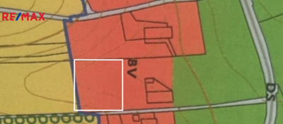 REMAX Delux