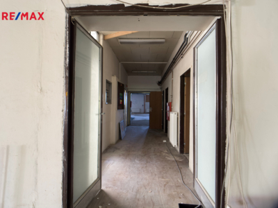 REMAX Delux