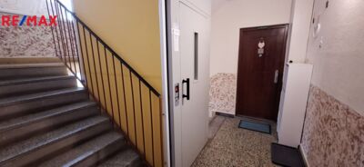 2806755.jpg