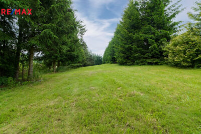 2947812.jpg 2947812.jpg