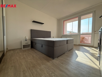 REMAX Delux