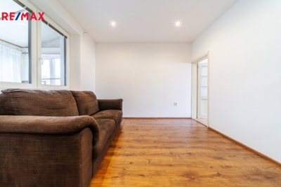 REMAX Delux