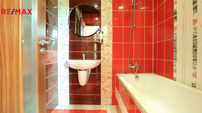 REMAX Delux